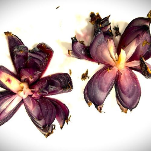 Rote Zwiebel mariniert